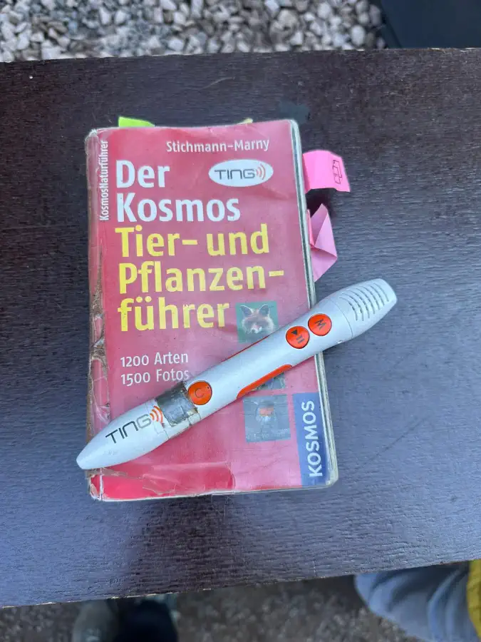 Bild 079 · Stationen zu Förderbedarfen