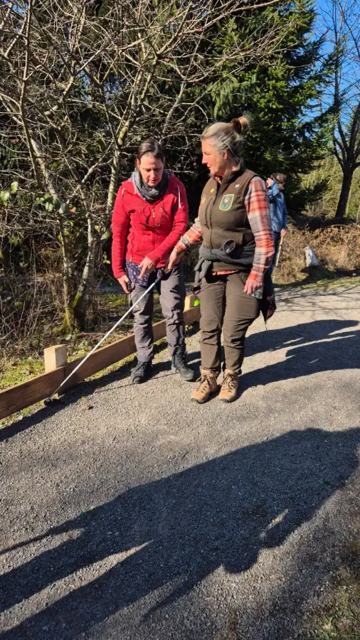 Bild 105 · Ortswechsel & Waldweg Grenzenlos