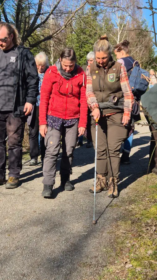 Bild 107 · Ortswechsel & Waldweg Grenzenlos